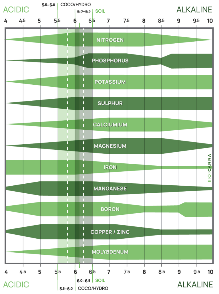 LIBERA HERBA: pH and nutrient availability