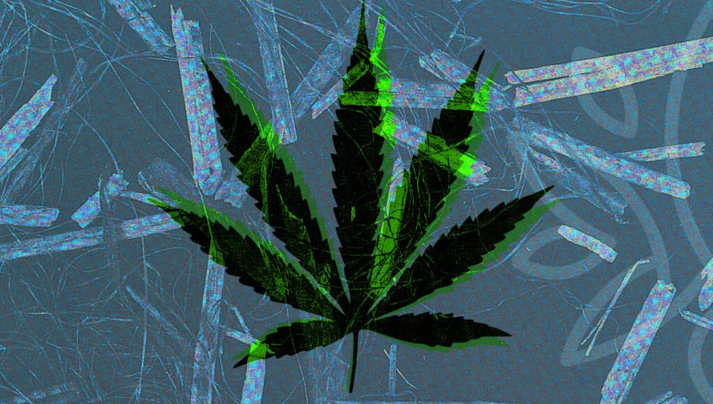 Hemp Paper