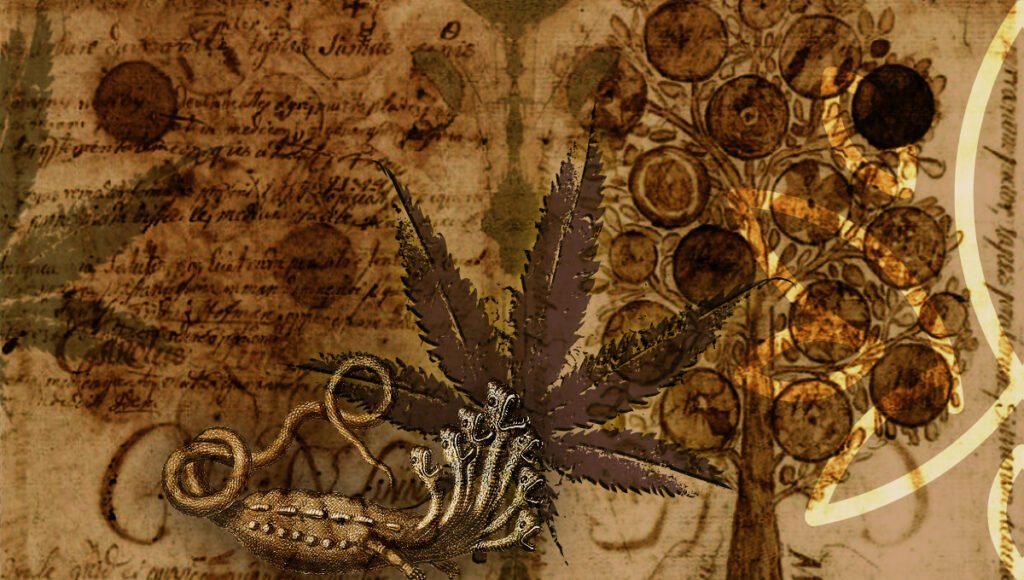 Carl Linnaeus — The Cultivated Name
