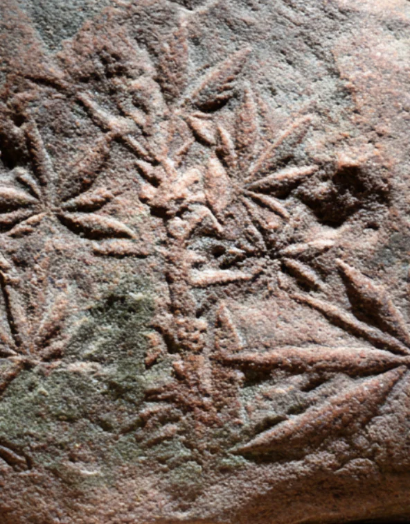 The Lost Crop Key — Cannabis in the Neolithic Economy